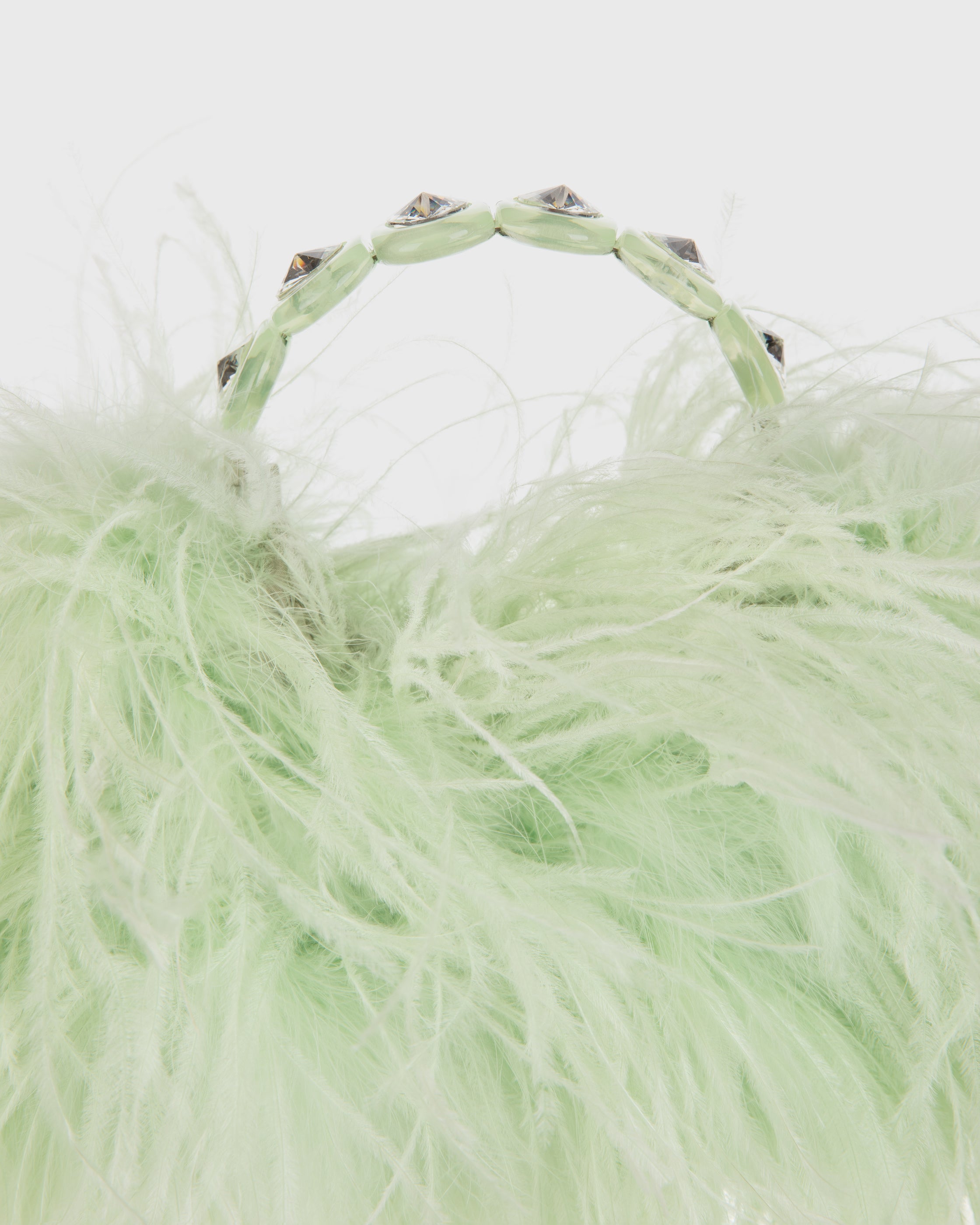 Eau De Nil Resin Feather Pouch