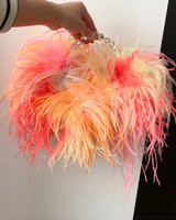Sunset Taliya Feather Pouch